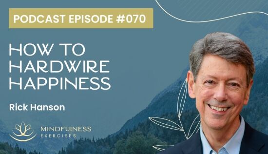 How to Hardwire Happiness, with Rick Hanson How to Hardwire Happiness, with Rick Hanson