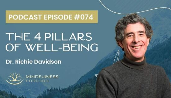 The 4 Pillars of Well-Being, with Dr. Richie Davidson The 4 Pillars of Well-Being, with Dr. Richie Davidson