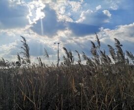 5 Minutes to Regain Calm, Clarity, and Confidence guided meditation script for anxiety, 9 Guided Meditation Scripts for Anxiety