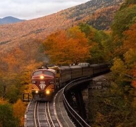 better sleep, 4 Guided Meditation Scripts for Better Sleep