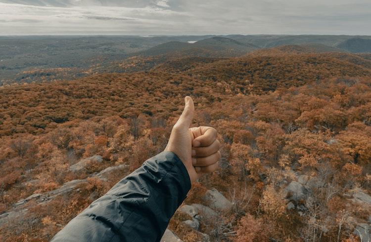 short mindfulness quotes, 100 Best Inspirational Mindfulness Quotes to Live By