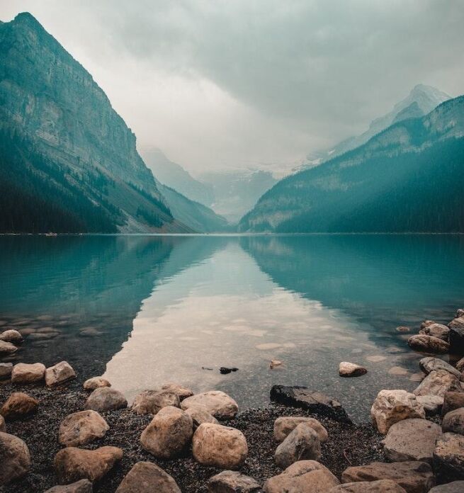 compassion for the whole body, Compassion for the Whole Body