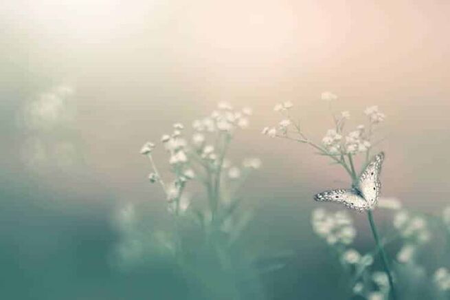 intention meditation script, An Intention Meditation Script for Self-Compassion