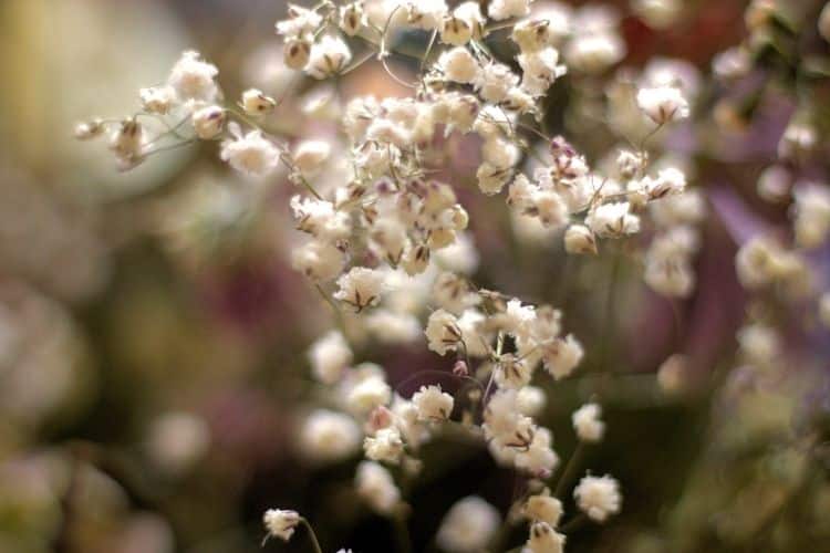 mindfulness of breathing, 10 Tips for Teaching Mindfulness of Breathing Practices