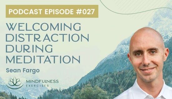 Welcoming Distraction During Meditation, with Sean Fargo Welcoming Distraction During Meditation, with Sean Fargo