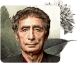 Gabor Maté mindfulness teachers, Mindfulness Teachers