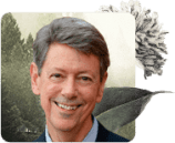 Rick Hanson mindfulness teachers, Mindfulness Teachers