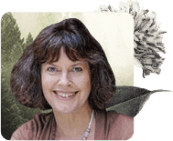 mindfulness teachers, Mindfulness Teachers