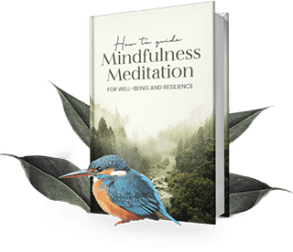 certification, Mindfulness Meditation Teacher Certification