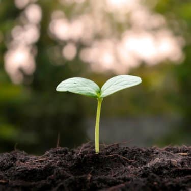 one-on-one mentorship, One-on-One Mentorship with Sean Fargo