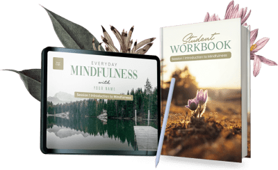 , Mindfulness Teaching Toolkit (sticky footer)