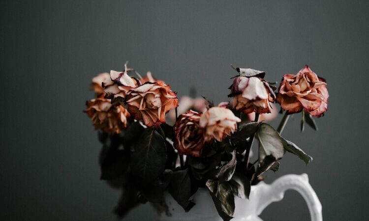 mindfulness of death, How to Practice Mindfulness of Death and Why It’s Important