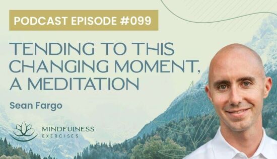 Tending To This Changing Moment, A Meditation with Sean Fargo Tending To This Changing Moment, A Meditation with Sean Fargo