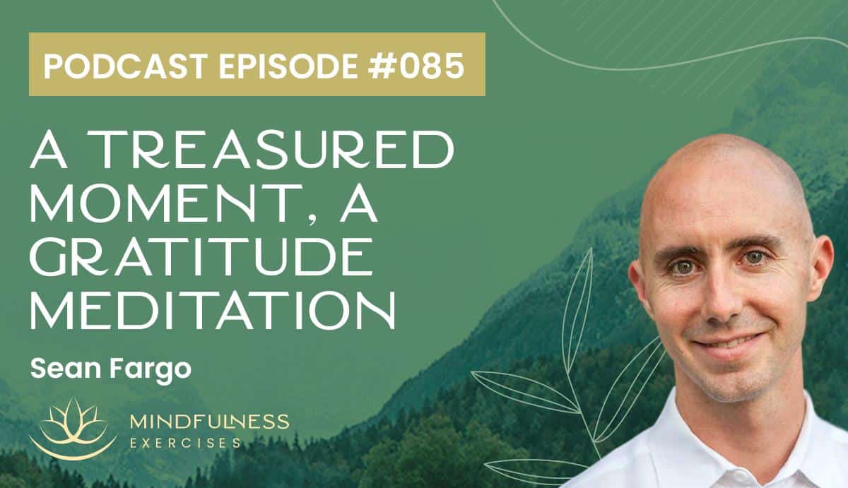 A Treasured Moment, A Gratitude Meditation with Sean Fargo A Treasured Moment, A Gratitude Meditation with Sean Fargo