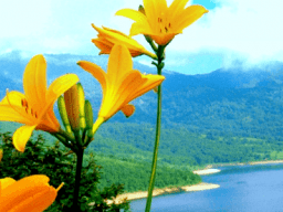 Ajahn Chah Teachings on Nature mindfulness exercises for anxiety, 9 Mindfulness Exercises for Anxiety