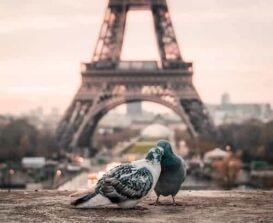 Guided Meditation on Love and Forgiveness mindfulness exercises for love and compassion, 8 Mindfulness Exercises for Love and Compassion