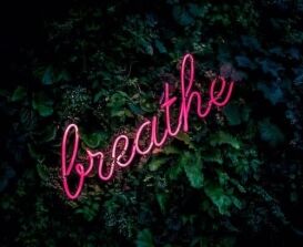 Learning to Belly Breathe mindfulness exercises for work, 10 Mindfulness Exercises for Work and Purpose