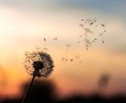 mindfulness exercises for relaxation, 7 Mindfulness Exercises for Relaxation