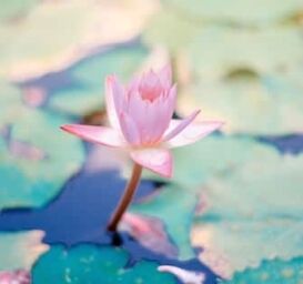 meditations for sleep, 5 Meditations for Sleep