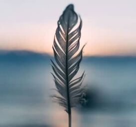 meditations for sleep, 5 Meditations for Sleep