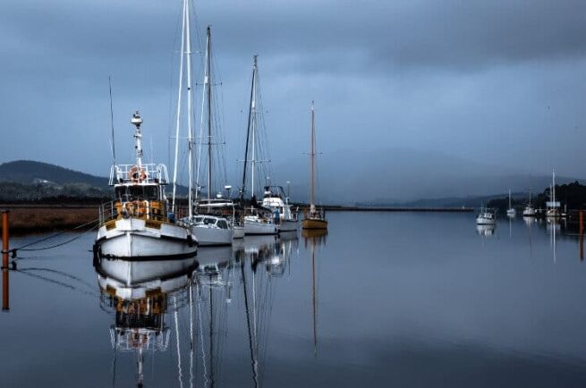 Focused Attention to Settle the Mind, Focused Attention to Settle the Mind