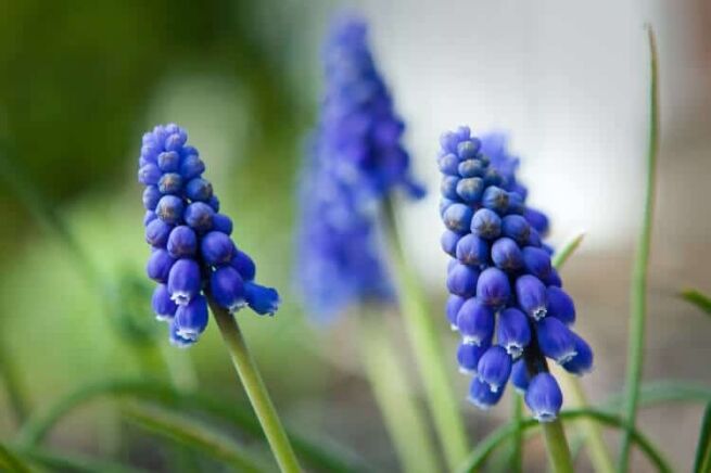 Letting Go of Resentments, Letting Go of Resentments by Forgiving Faults