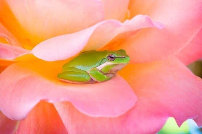 stillness meditation, Let Yourself Simply Be With This Stillness Meditation