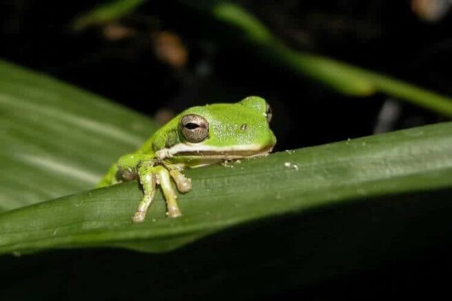 Gratitude When You've Got Attitude, Gratitude When You’ve Got Attitude