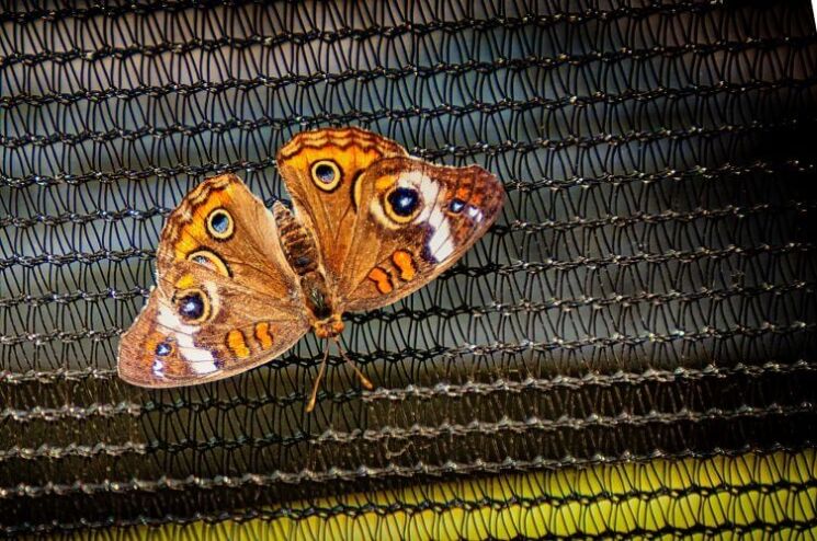 Meditation on Life - and Death, Meditation Script on Life and Death