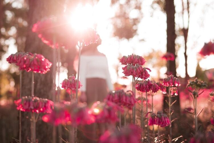 loving kindness meditation, The Power of Loving Kindness & How to Cultivate It