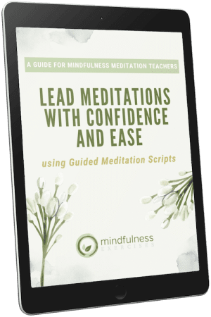 , Guide for Mindfulness Meditation Teachers