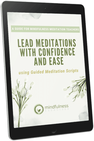 , A Guide for Mindfulness Meditation Teachers