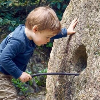 Cultivating Curiosity