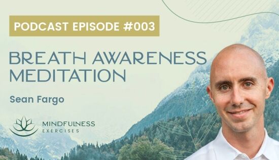 Breath Awareness Meditation with Sean Fargo Breath Awareness Meditation with Sean Fargo