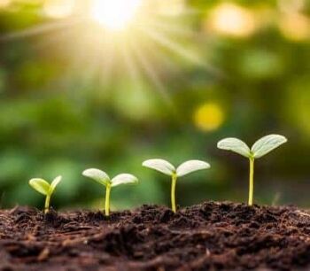 Identifying Room to Grow