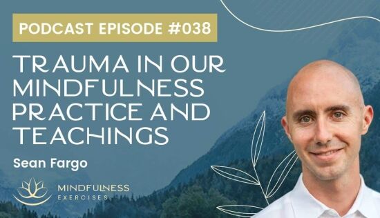 Trauma in our Mindfulness Practice and Teachings, with Sean Fargo Trauma in our Mindfulness Practice and Teachings, with Sean Fargo