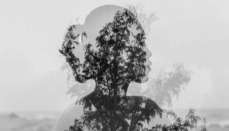 The Power of Self-Compassion self-compassion, Embracing the Transformative Power of Self-Compassion