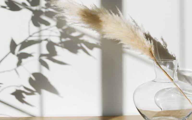 When Self-Love Feels Too Difficult self-compassion, Embracing the Transformative Power of Self-Compassion