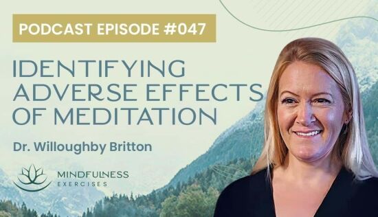 Identifying Adverse Effects of Meditation, with Dr. Willoughby Britton Identifying Adverse Effects of Meditation, with Dr. Willoughby Britton