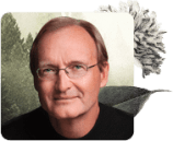 mindfulness teachers, Mindfulness Teachers