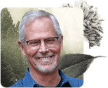 mindfulness teachers, Mindfulness Teachers