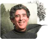 mindfulness teachers, Mindfulness Teachers