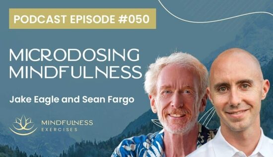 Microdosing Mindfulness, with Jake Eagle and Sean Fargo Microdosing Mindfulness, with Jake Eagle and Sean Fargo