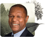 mindfulness teachers, Mindfulness Teachers