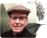 mindfulness teachers, Mindfulness Teachers