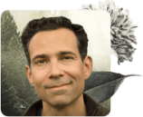 mindfulness teachers, Mindfulness Teachers