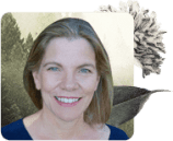 mindfulness teachers, Mindfulness Teachers