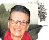 mindfulness teachers, Mindfulness Teachers