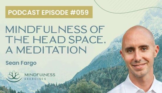 Mindfulness of the Head Space, A Meditation with Sean Fargo Mindfulness of the Head Space, A Meditation with Sean Fargo