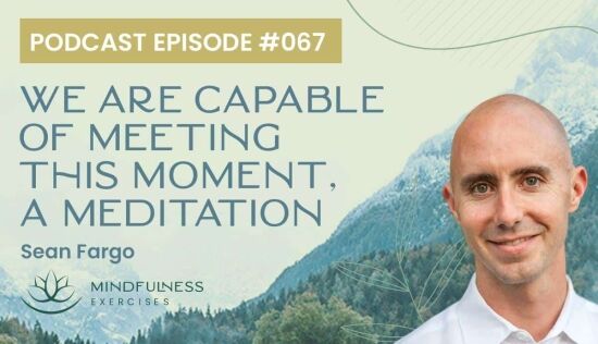 We Are Capable of Meeting This Moment, A Meditation with Sean Fargo We Are Capable of Meeting This Moment, A Meditation with Sean Fargo